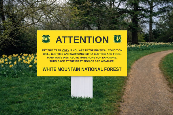 Preview of a 2x4 For Rent sign